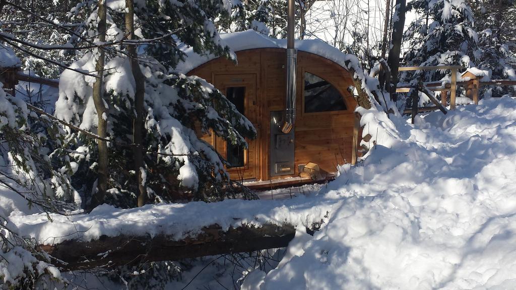 Willa Gusia, Apartamenty Zakopane Exterior foto