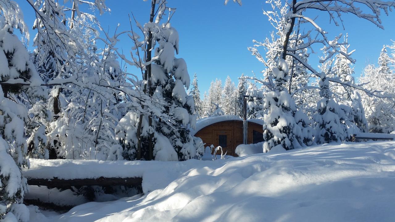 Willa Gusia, Apartamenty Zakopane Exterior foto